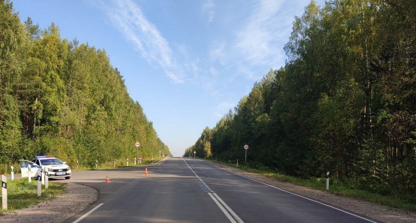 В Коми водитель сбил пешехода и скрылся с места ДТП