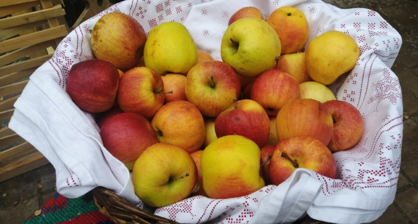 Храню яблоки только так — и даже на 14 февраля достаю будто только с ветки: отличный способ