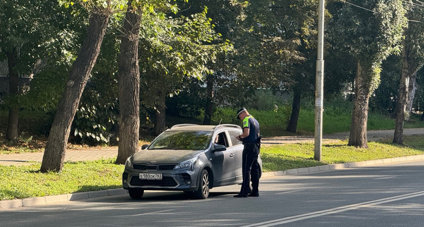 Безобидный вопрос инспектора "куда едете" может навлечь проблемы - вот как правильно на него отвечать