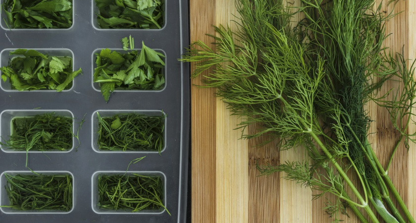 Заморозку укропа считаю пережитком: готовлю укропный соус, который съедается моментально - хоть к мясу, хоть в картошечку