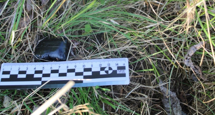 В Коми наркозакладчица предстанет перед судом