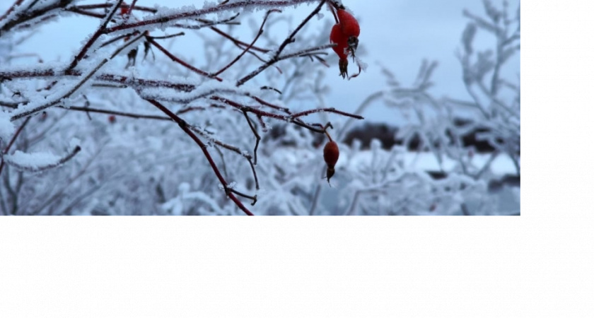 Заморозки наступят быстрее: синоптики ошарашили россиян прогнозом на октябрь