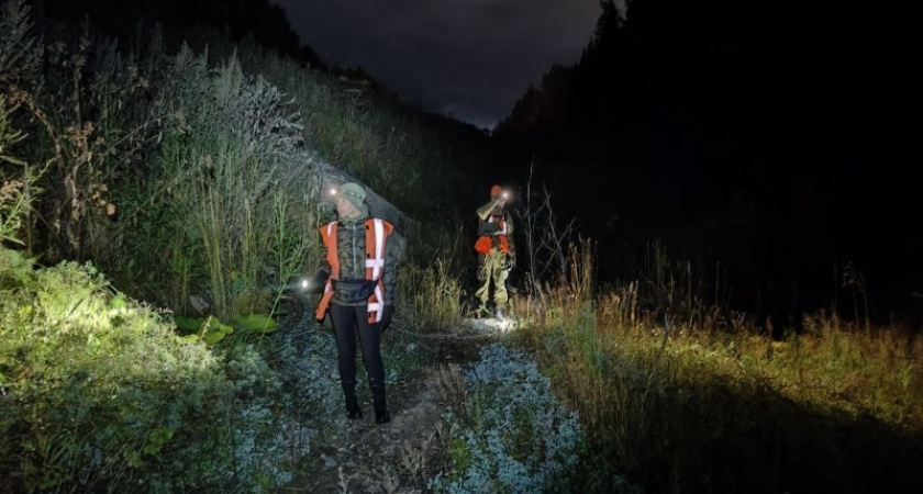 В Коми нашли пропавшего 71-летнего дачника