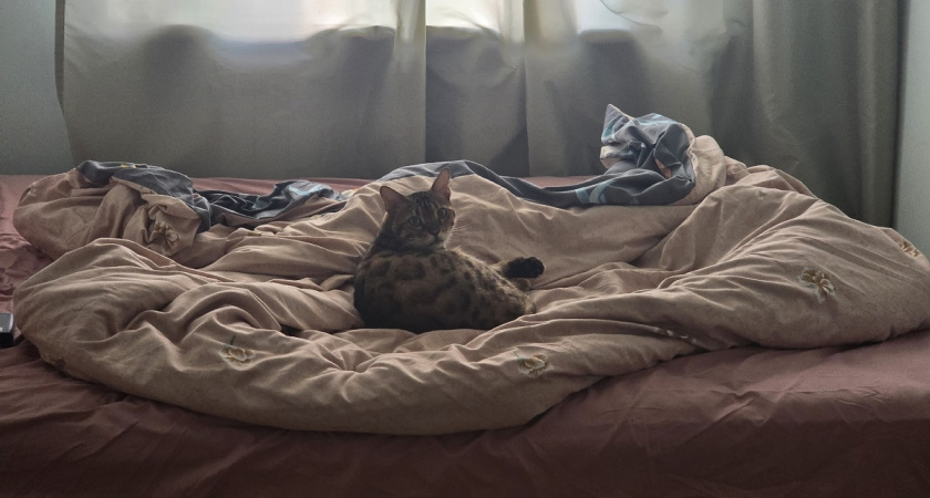 Хлопок, сатин, бязь: таблица времени стирки для каждого типа постельного белья - всю жизнь портила белье, стирая неправильно