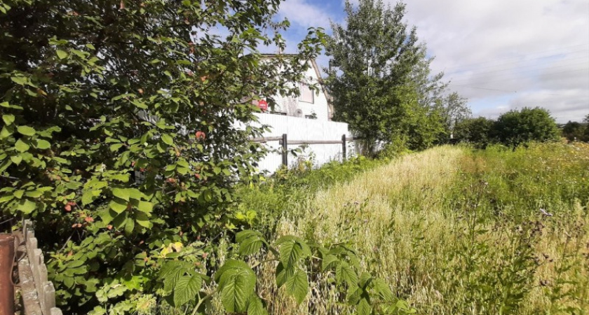 В Коми долгий земельный спор соседей завершился за два часа