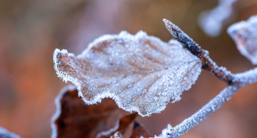 Какая будет зима 2025-2026: осенние народные приметы, которые подмечали наши бабушки