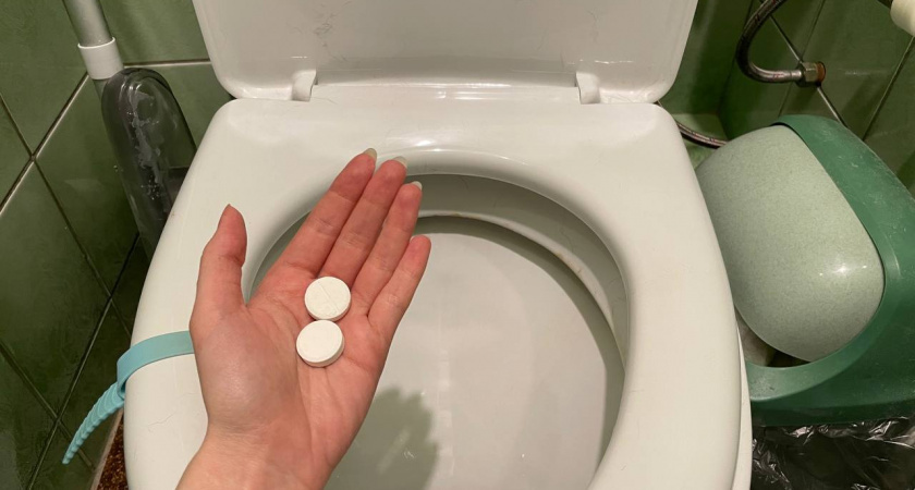 Что добавлять в дачный туалет, чтобы отходы растворялись и запаха не было: лайфхак