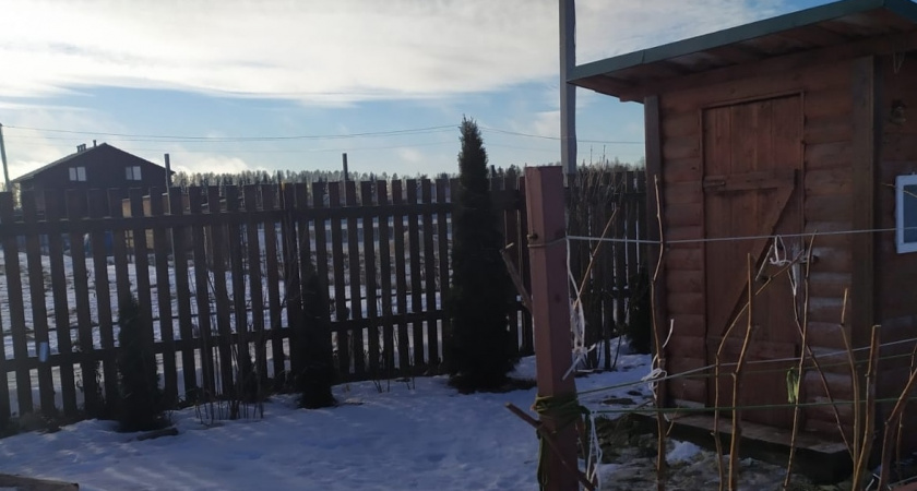 Никакой вони: простое средство для дачного туалета, которое растворяет все и убирает запах - стоит копейки 