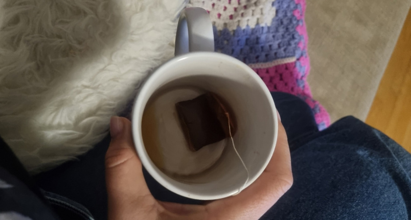 Горничная раскрыла секрет: зачем она кидает чайный пакетик в унитаз перед уходом - теперь тоже так делаю