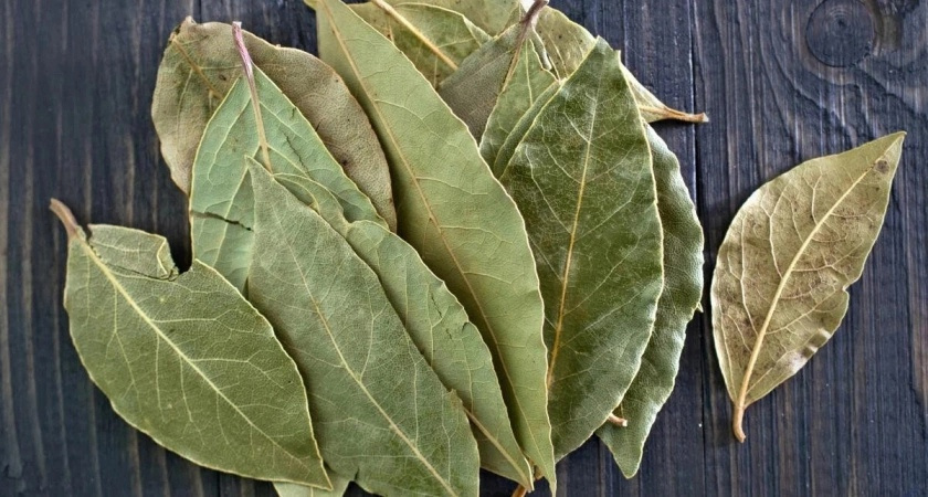 Перемолола «лаврушку» — и посыпала у порога: теперь живем дружно и спокойно — вся семья заметила