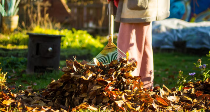 Не осенний мусор, а настоящее "золото": как превратить кучу листьев в удобрение для вашего сада