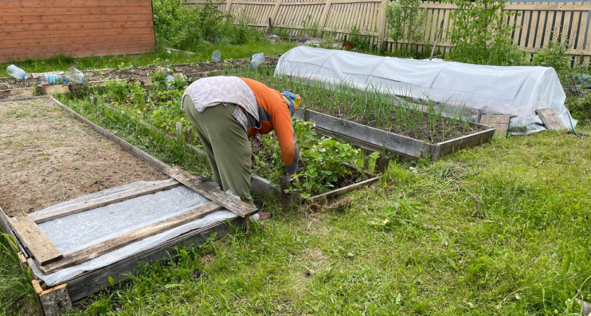 5 напрасных трудов в сентябрьском саду: Перестаньте тратить силы впустую