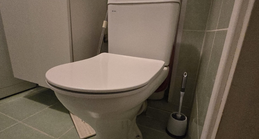 Половина стакана этого средства и унитаз сияет ярче луны - справится с ржавчиной и налетом лучше любого магазинного геля