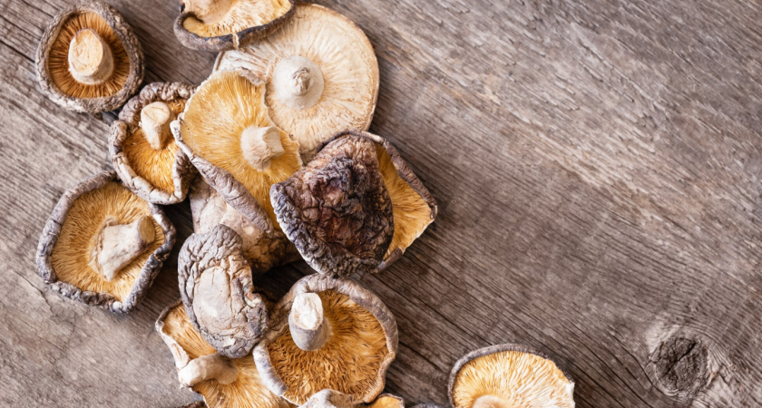 Всю жизнь сушил не те грибы: список «непригодных» видов для сушки