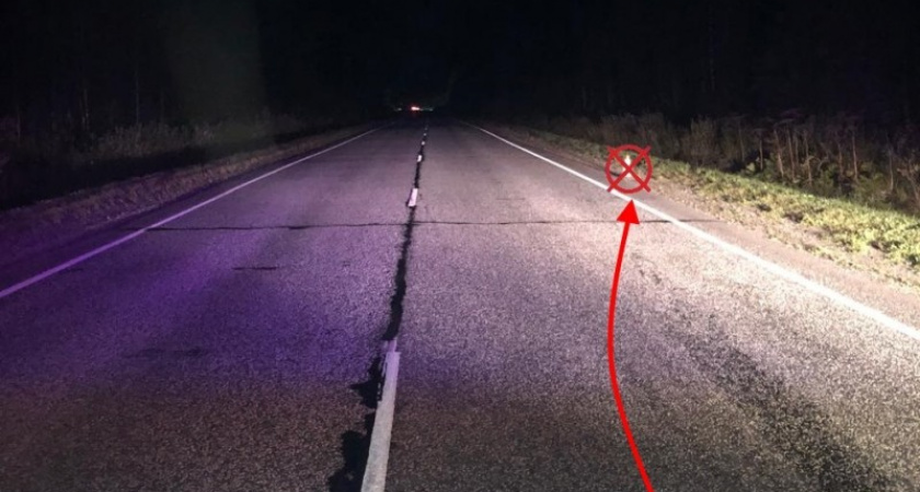 Молодая водительница в Коми получила тяжелые травмы, перевернувшись в кювет на трассе "Вятка"