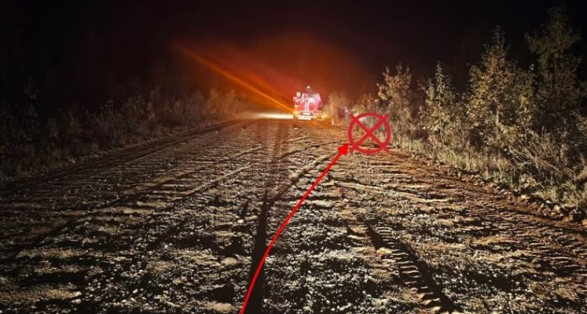 Трое человек попали в больницу после опрокидывания автомобиля в кювет на трассе в Коми