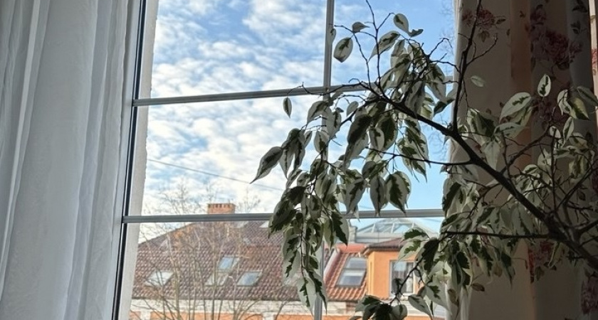 Две вещи в вашем доме, которые крадут здоровье и силы, выкинула — вся семья перестала болеть