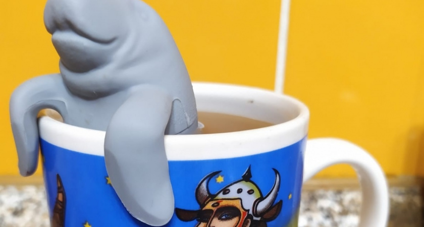 Хватит пить "листву с пола": Росконтроль проверил пакетированные чаи на качество и выделил лучшие - без пыли и примесей