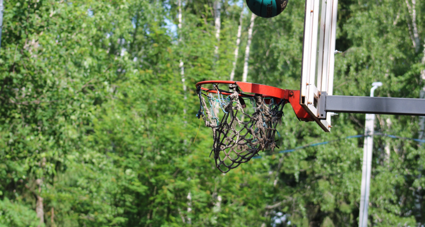 В Коми запустят программу "Земский тренер"