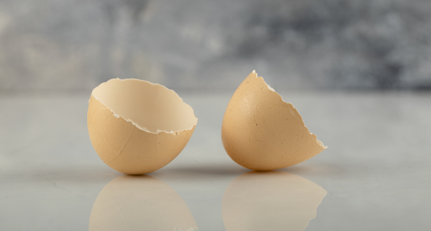 Золото с вашей кухни: как яичная скорлупа превращается в элитное удобрение для сада