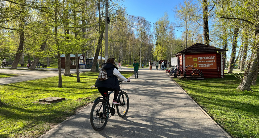 В Коми грядет аномальное потепление до +20°C на фоне дождей и гроз