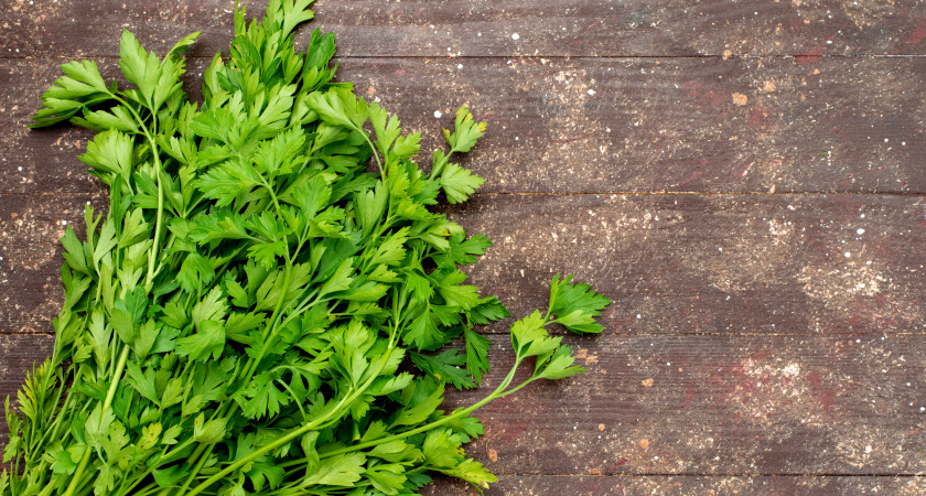 Укроп, петрушку и салат храню "неправильно" - зато зелень всегда свежая, будто с грядки: лайфхак