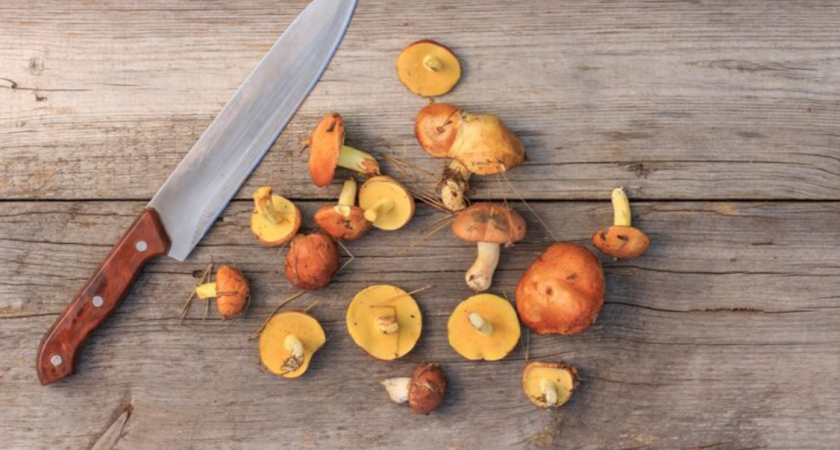 Раньше до ночи мучились всей семьей, снимая пленку с маслят: теперь легко чищу сама ведро грибов за полчаса