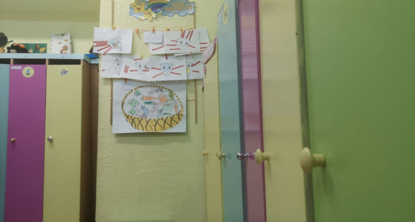 Роспотребнадзор Коми проводит расследование по факту вспышки сальмонеллеза в двух детских садах