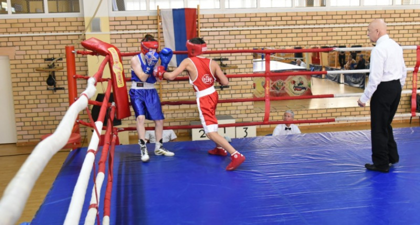 На Республиканских соревнованиях по боксу памяти Католикова в Коми соберутся около 90 спортсменов