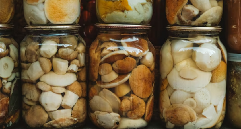 Вкус изумительный — горчить не будут: 2 способа засолить грузди на зиму — холодный и горячий 