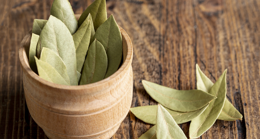 Что делать, если быстро заканчиваются деньги: совет с лавровым листом