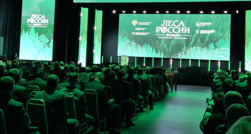 Коми в десятке лучших: регион демонстрирует успех в лесном хозяйстве