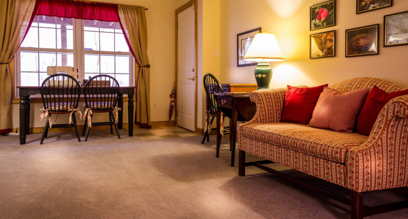 Как убрать запах сырости и старости в квартире: простые советы освежить свое жилище