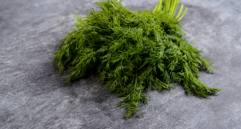 Зелень больше не морожу и не сушу на зиму: делаю из укропа, петрушки и чеснока ароматную приправу, хранится годами - максимум пользы 