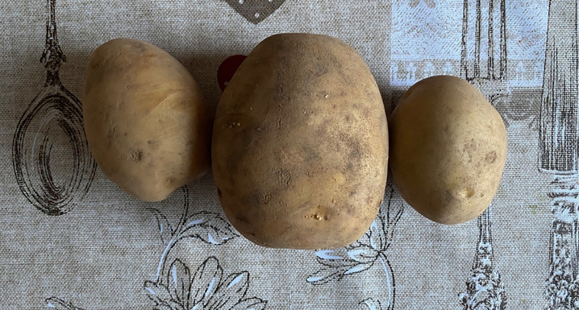 В Коми подвели итоги осенней посевной кампании