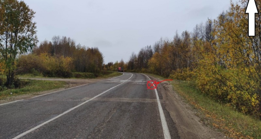 В Коми нетрезвый водитель выронил из салона "ВАЗа" пассажира