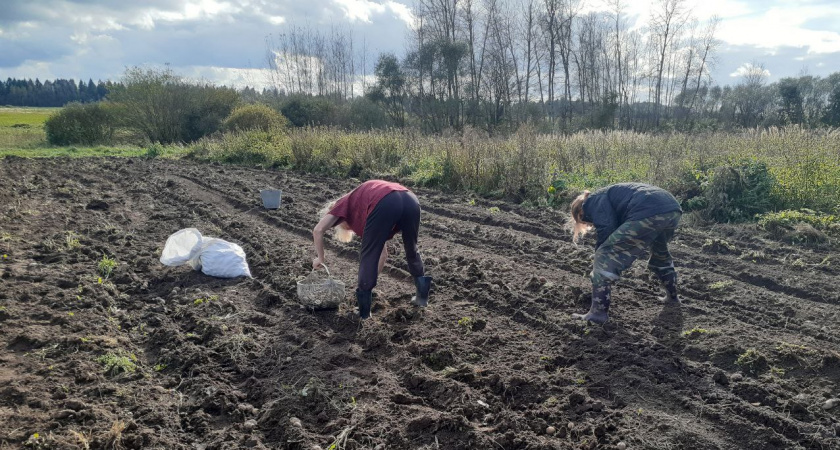 Как превратить жизнь в деревне в стабильный доход