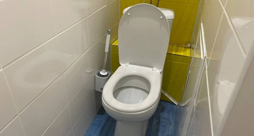 Рюмку в унитаз на ночь — к утру выгребная яма чиста: выливаем раз в месяц — и забываем об откачке на 15 лет