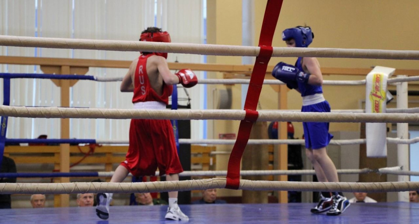 В школах Коми ввели уроки бокса для 1300 детей