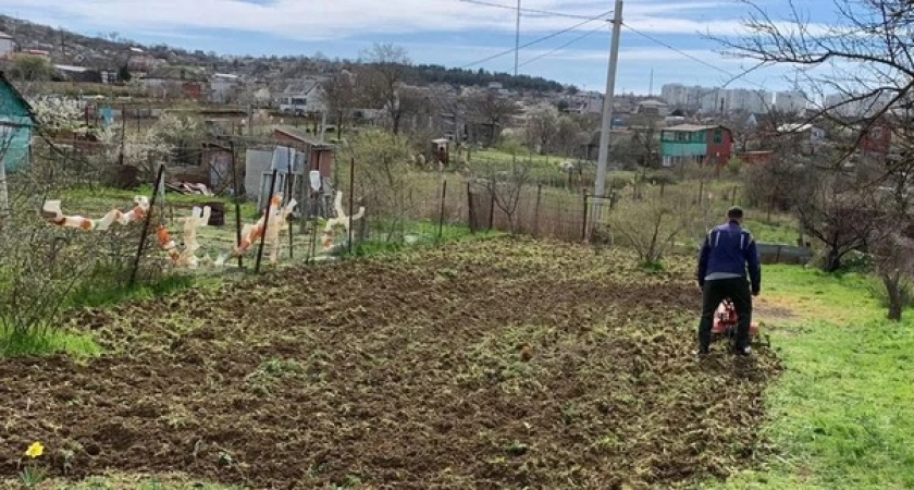 Пять природных способов восстановить почву осенью без химических добавок