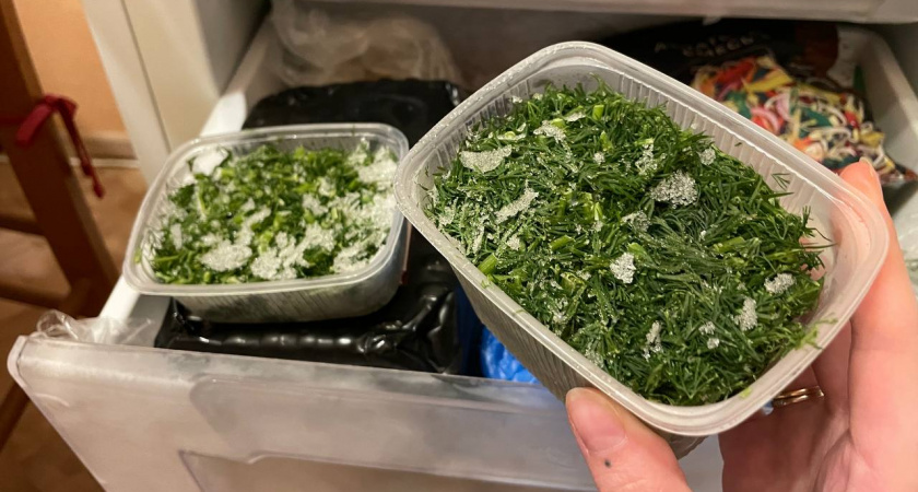 Секрет ароматной зелени: Как правильно заморозить укроп, чтобы сохранить вкус и запах