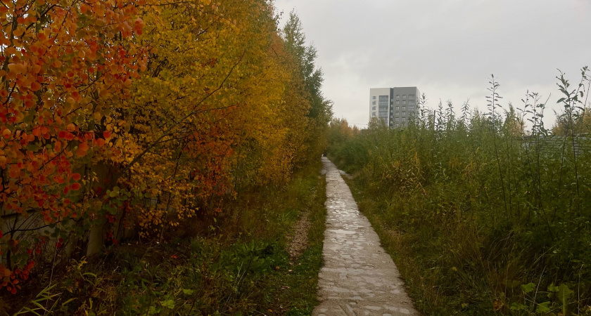 На Коми надвигается погодное ненастье