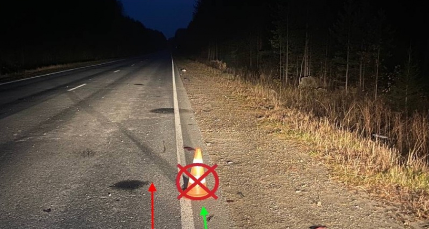 В Коми водитель Citroen сбил велосипедиста и покинул место аварии 