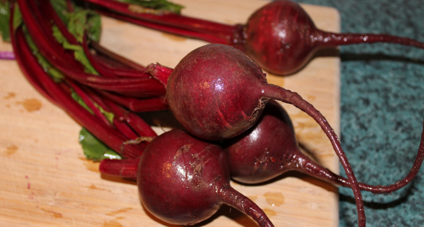 Сладкая и сочная свекла — как вырастить идеальный корнеплод в 2025 году: советы и секреты огородников