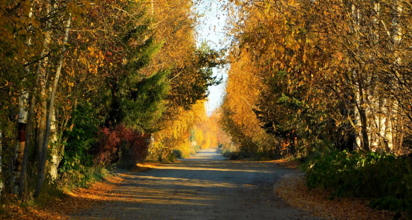 Осенняя кутерьма в Коми: где светит солнце, а где идет мокрый снег