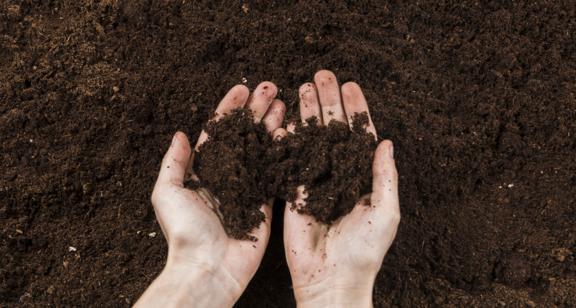 Даже бетонная почва станет мягче пуха: осенью по грядкам для рыхлости и плодородия рассыпать надо кухонные специи