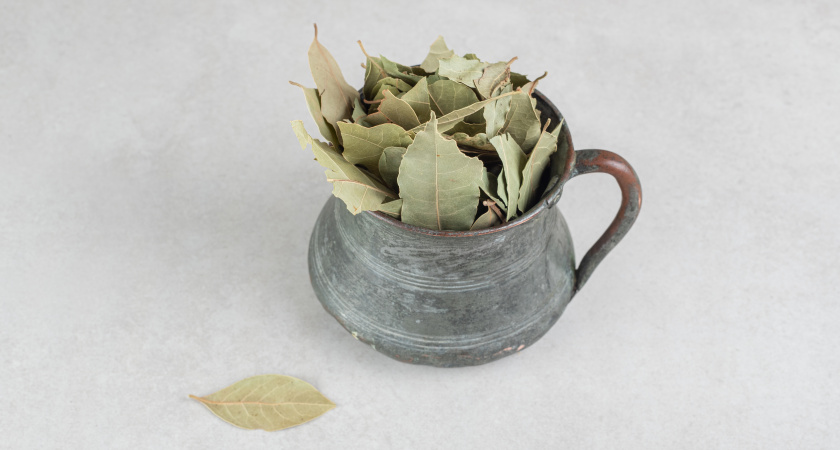 Швыряю лавровый лист по углам комнаты и ухожу из дома – старый, но работающий метод