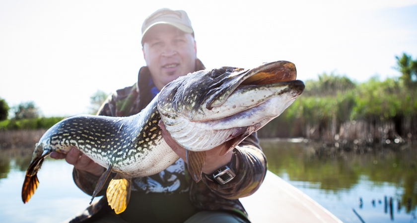 Тройка лучших блесен для осенней щуки: проверено на десятках рыбалок