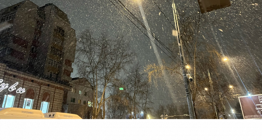 В Коми ожидается мокрый снег