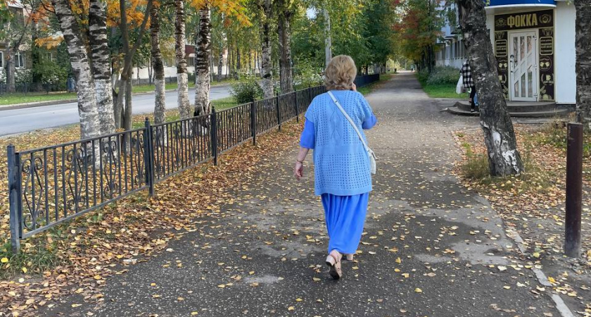 Социальная поддержка в 2026 году: индексация пенсий и увеличение пособий